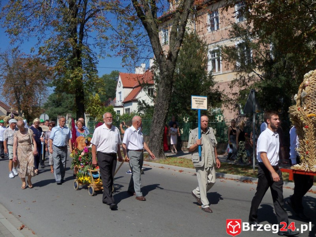 Dożynki w Grodkowie [fotorelacja]