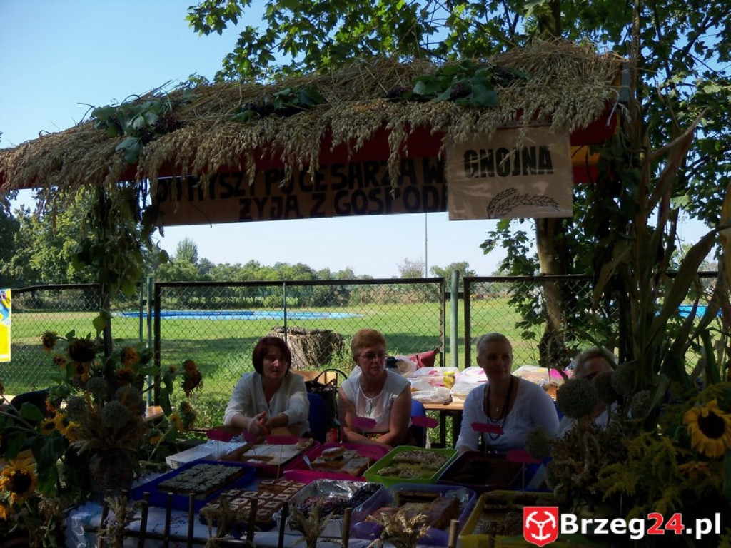 Dożynki w Grodkowie [fotorelacja]