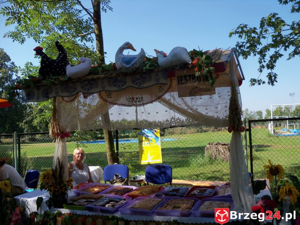 Dożynki w Grodkowie [fotorelacja]