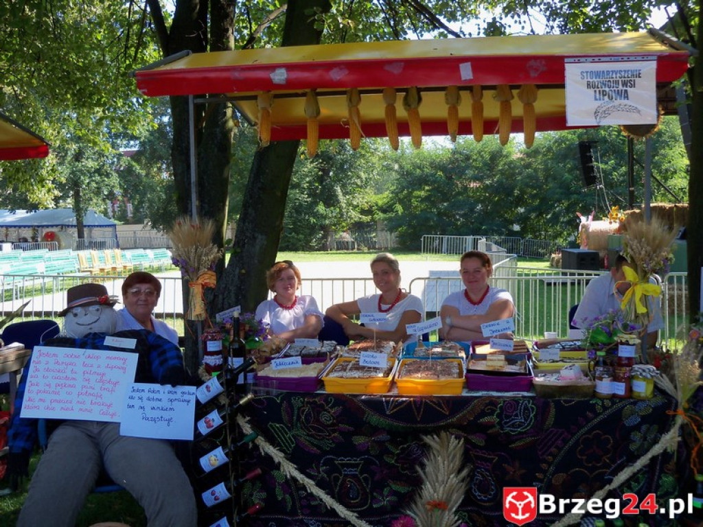 Dożynki w Grodkowie [fotorelacja]