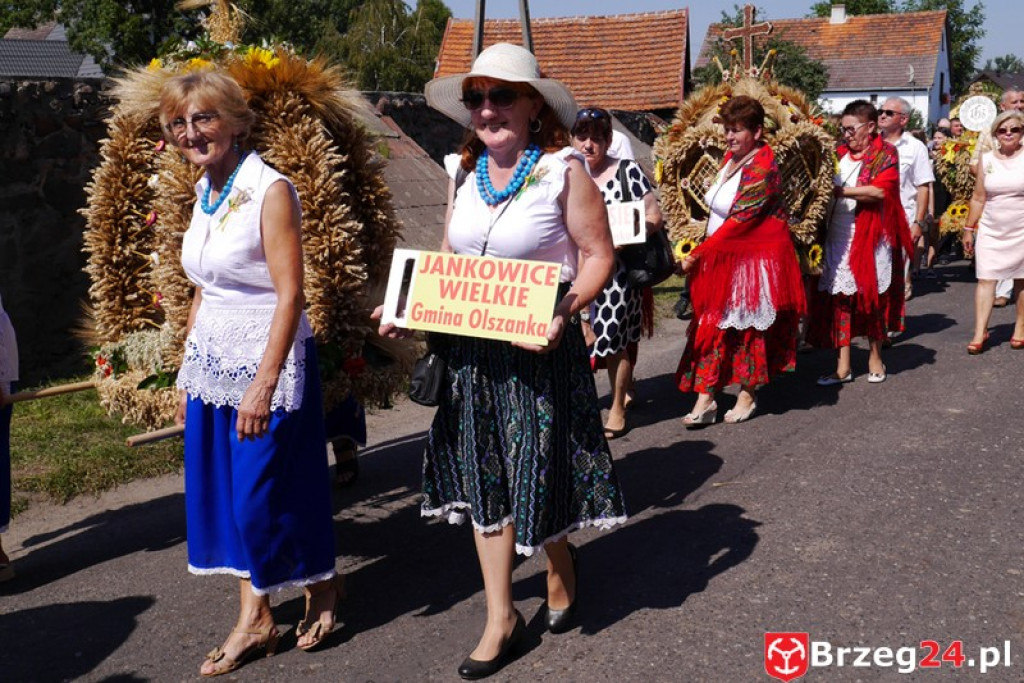 Dożynki Gminy Olszanka 2016 [FOTORELACJA]