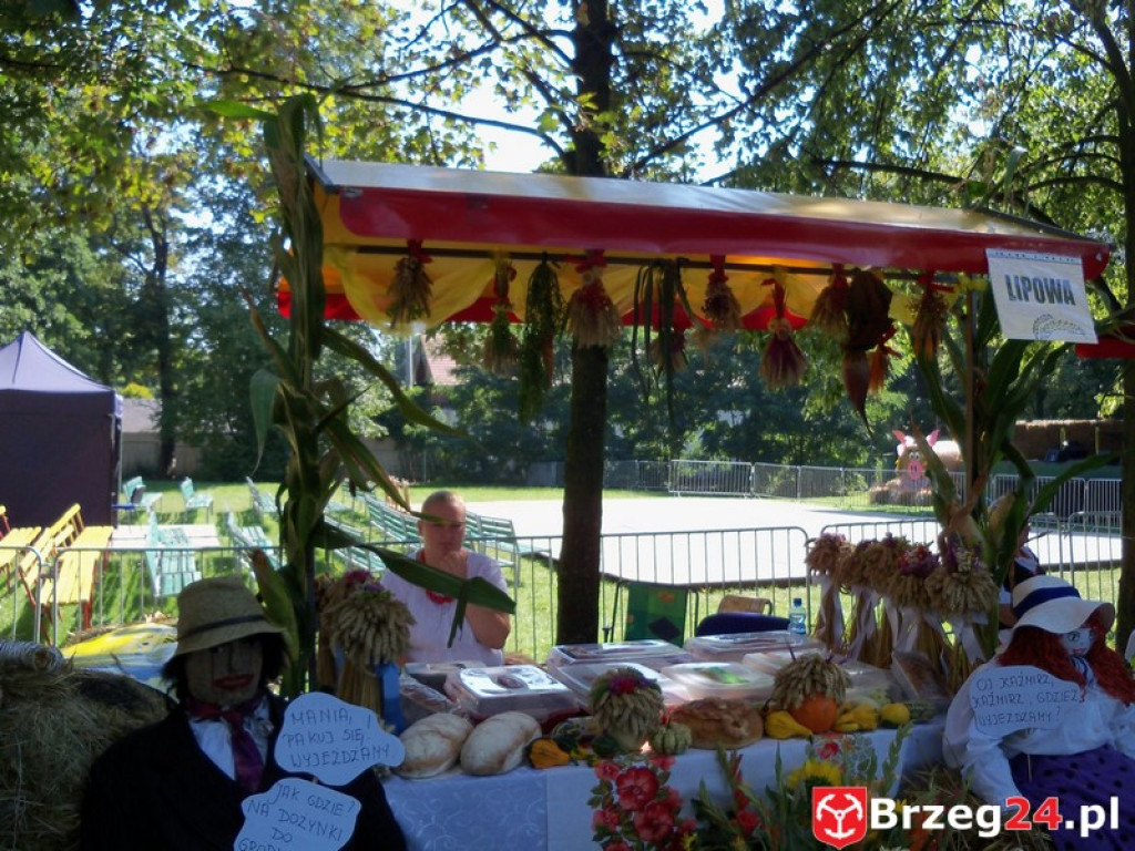 Dożynki w Grodkowie [fotorelacja]