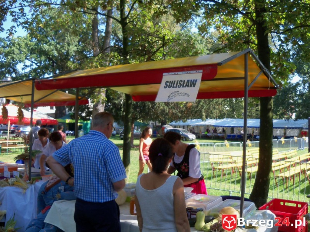 Dożynki w Grodkowie [fotorelacja]