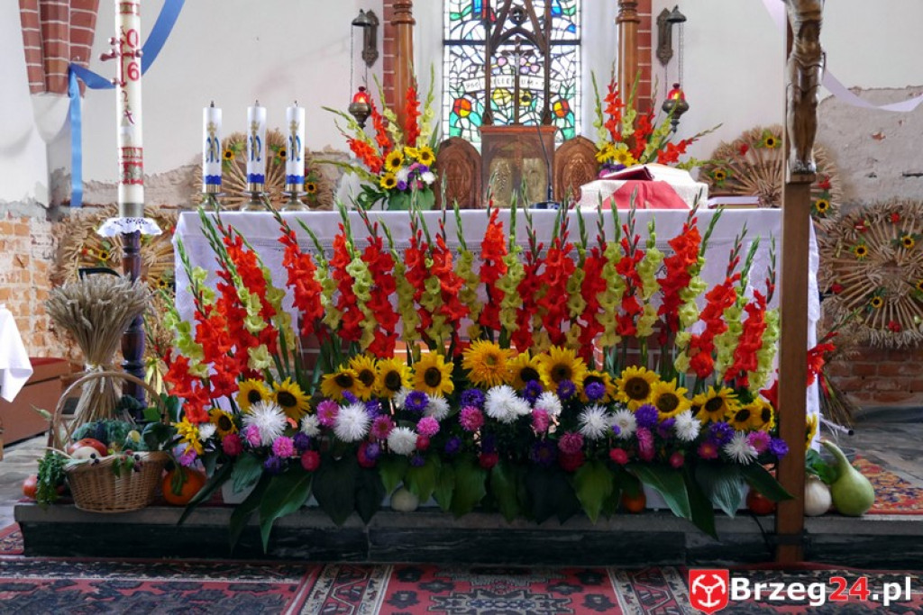 Dożynki Gminy Olszanka 2016 [FOTORELACJA]