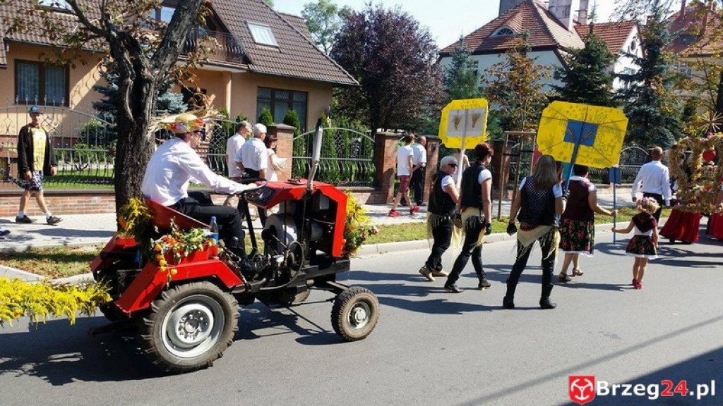 Dożynki w Grodkowie [fotorelacja]