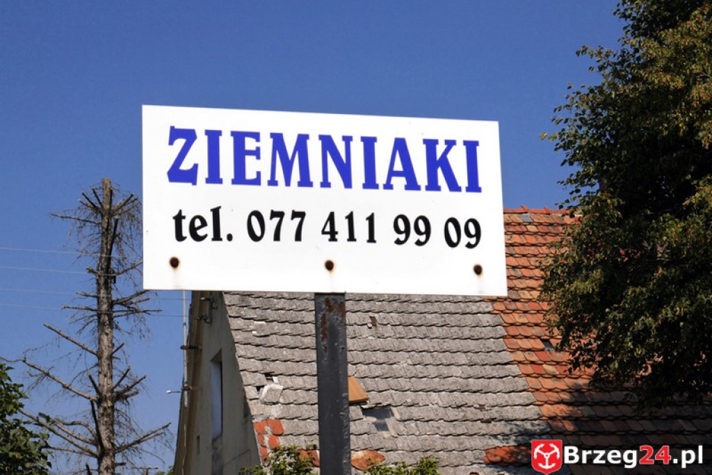 Gierszowice triumfowały u siebie - Fotorelacja z dożynkowego konkursu na najpiękniejszą koronę żniwną i na najładniejszą dekorację