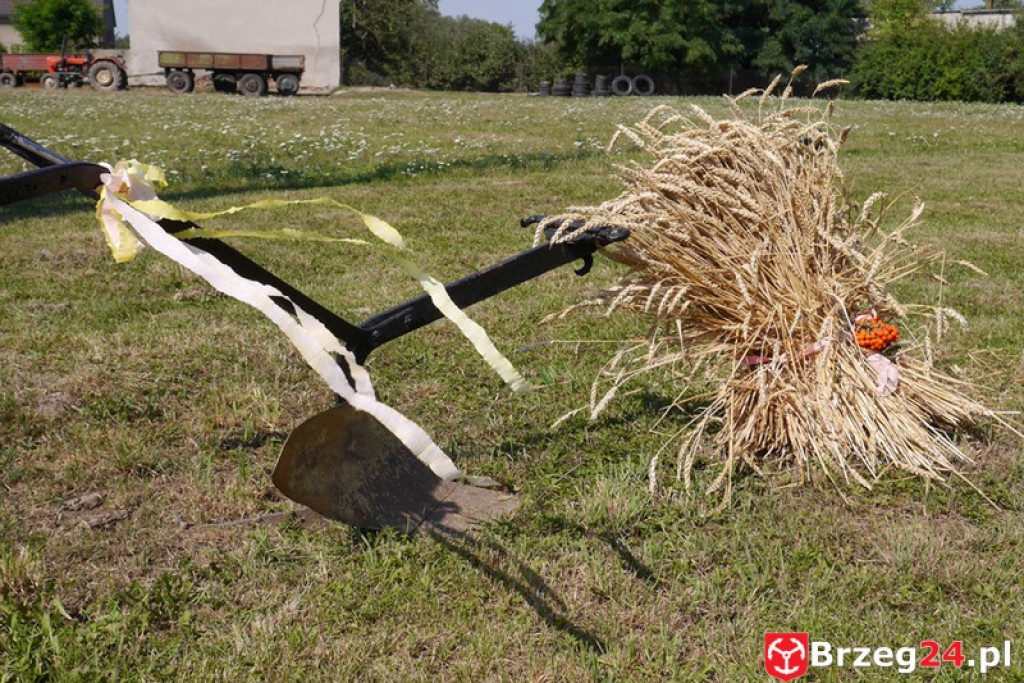 Gierszowice triumfowały u siebie - Fotorelacja z dożynkowego konkursu na najpiękniejszą koronę żniwną i na najładniejszą dekorację