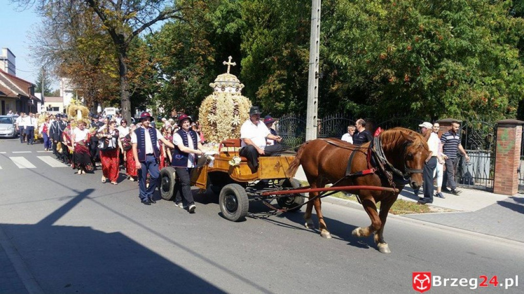 Dożynki w Grodkowie [fotorelacja]