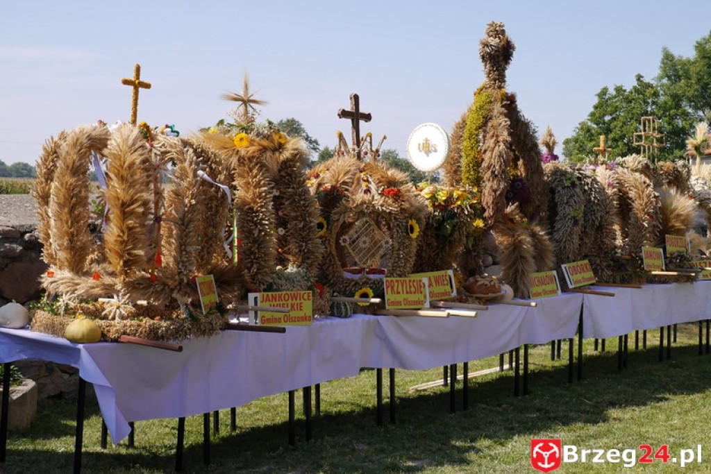 Dożynki Gminy Olszanka 2016 [FOTORELACJA]