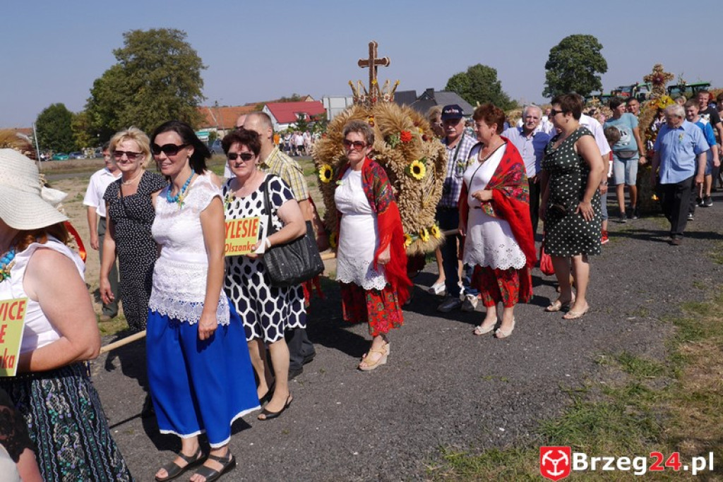 Dożynki Gminy Olszanka 2016 [FOTORELACJA]