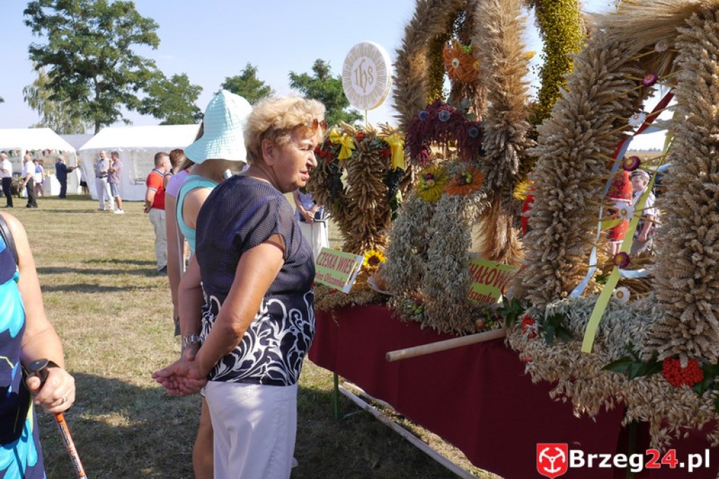 Dożynki Gminy Olszanka 2016 [FOTORELACJA]
