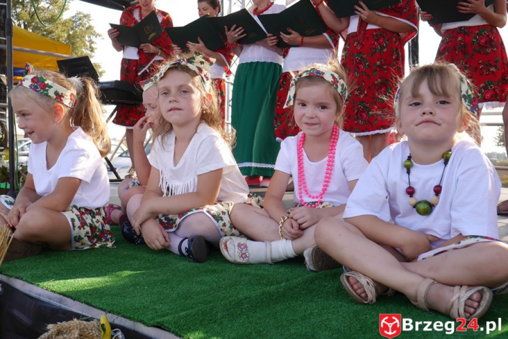 Dożynki Gminy Olszanka 2016 [FOTORELACJA]