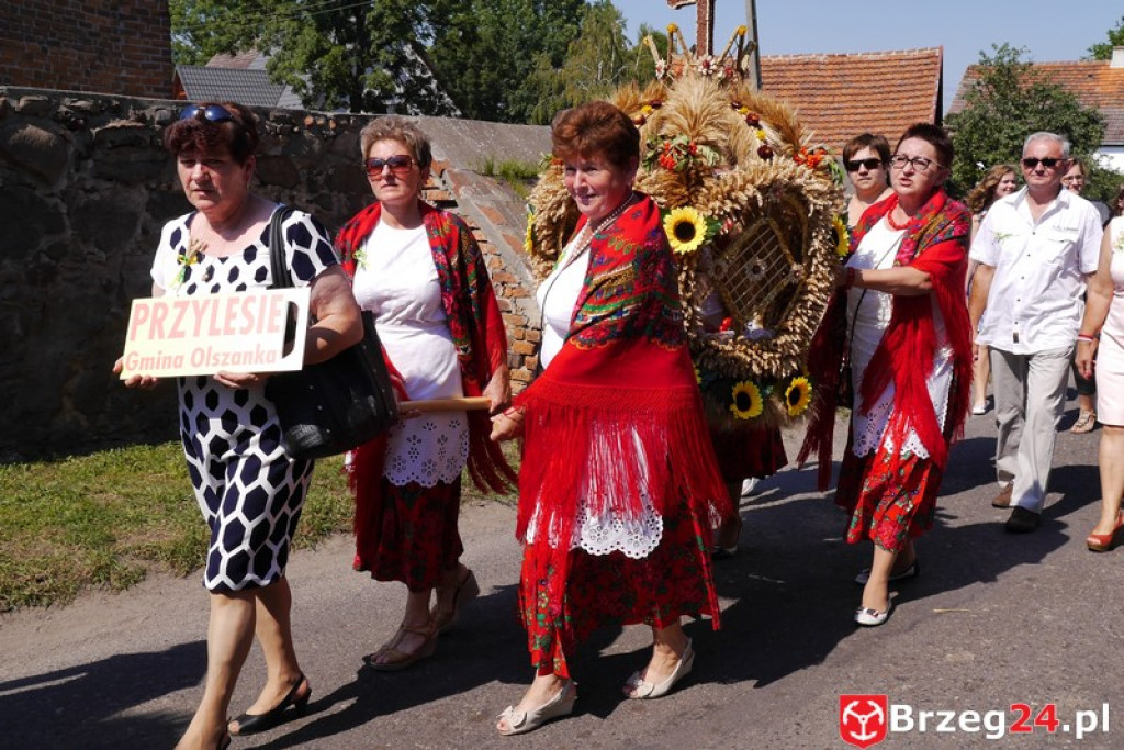 Dożynki Gminy Olszanka 2016 [FOTORELACJA]