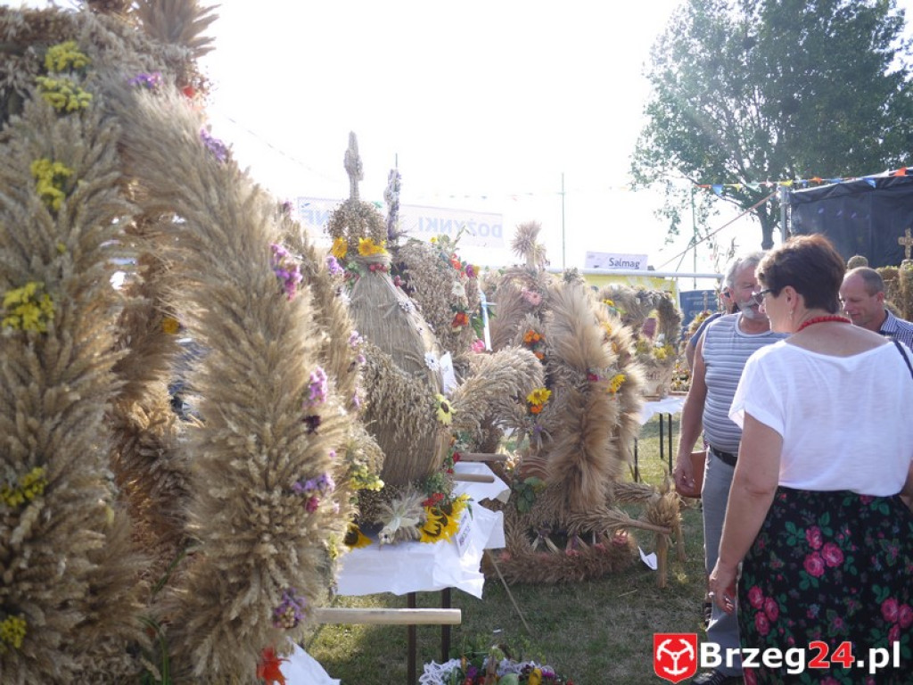 Dożynki Gminy Lubsza 2016 w Kościerzycach