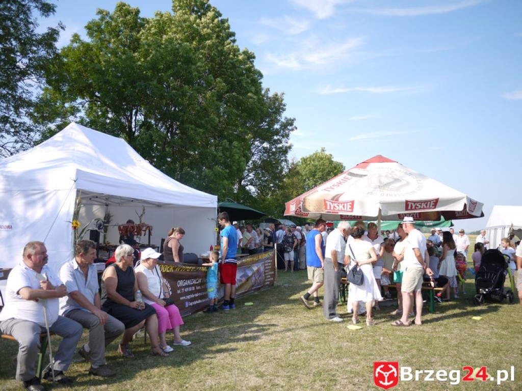 Dożynki Gminy Lubsza 2016 w Kościerzycach