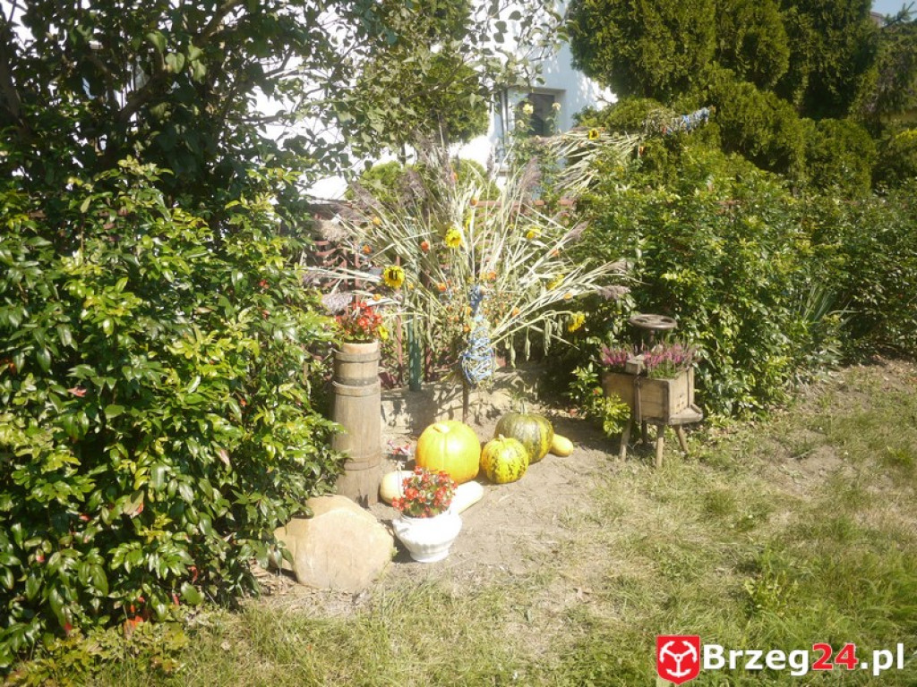 Dożynki Gminy Lubsza 2016 w Kościerzycach