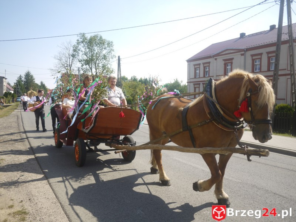 Dożynki Gminy Lubsza 2016 w Kościerzycach
