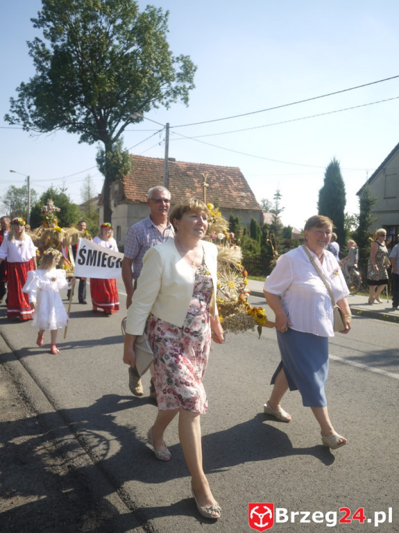 Dożynki Gminy Lubsza 2016 w Kościerzycach