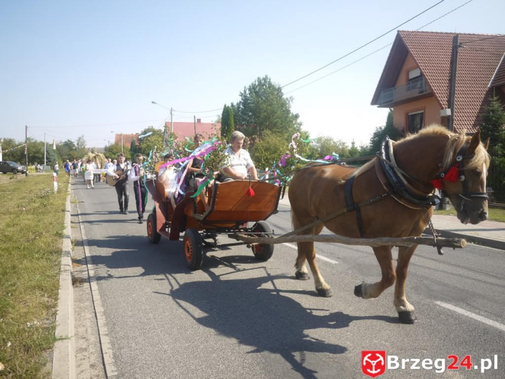 Dożynki Gminy Lubsza 2016 w Kościerzycach