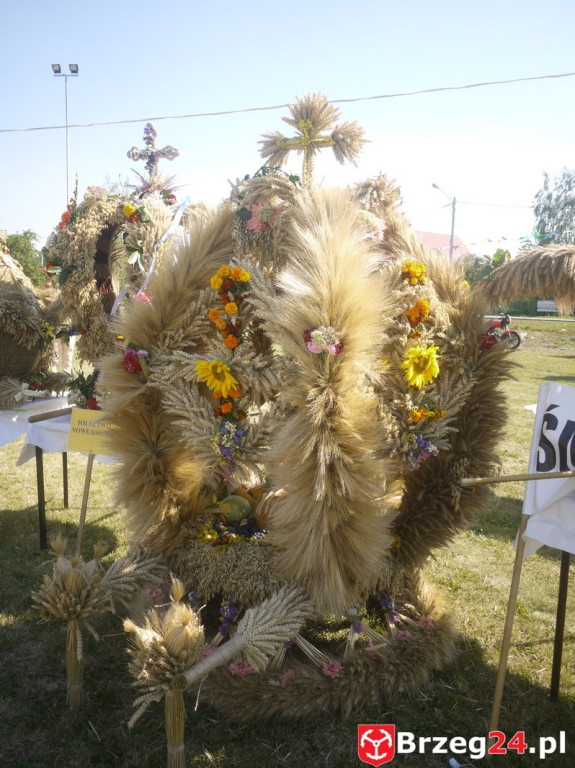 Dożynki Gminy Lubsza 2016 w Kościerzycach