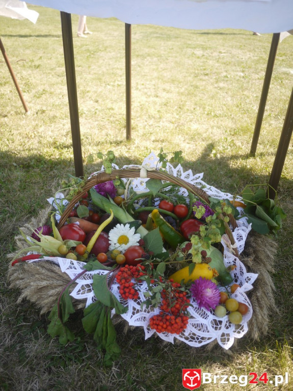 Dożynki Gminy Lubsza 2016 w Kościerzycach