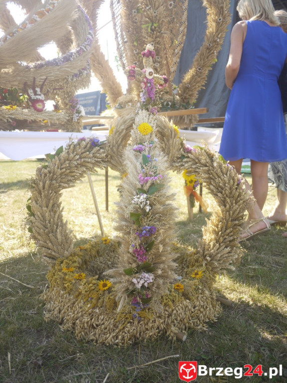 Dożynki Gminy Lubsza 2016 w Kościerzycach