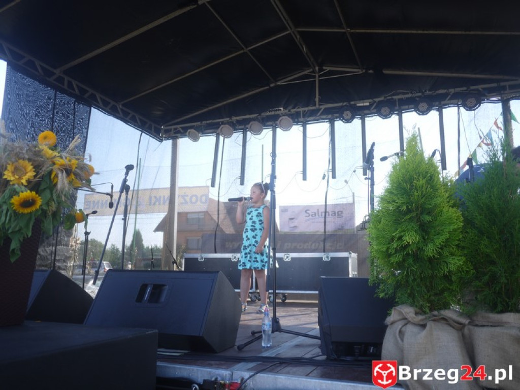 Dożynki Gminy Lubsza 2016 w Kościerzycach