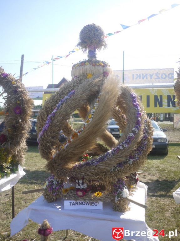 Dożynki Gminy Lubsza 2016 w Kościerzycach