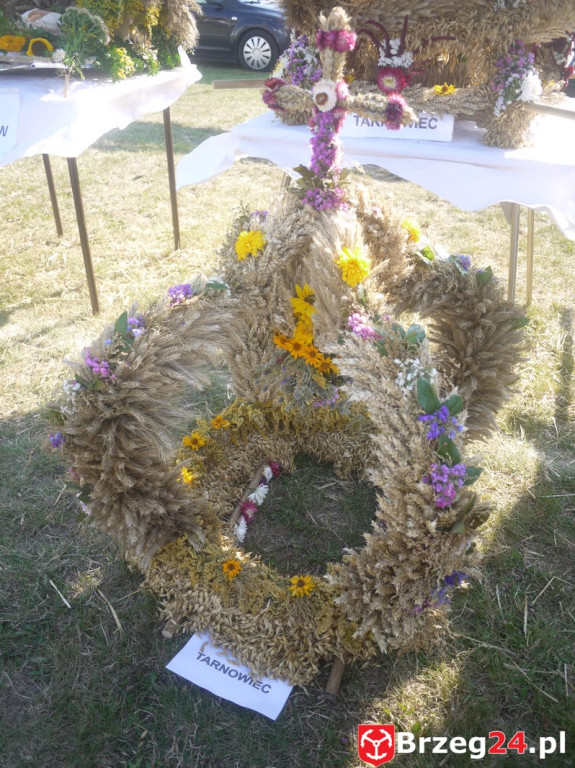 Dożynki Gminy Lubsza 2016 w Kościerzycach