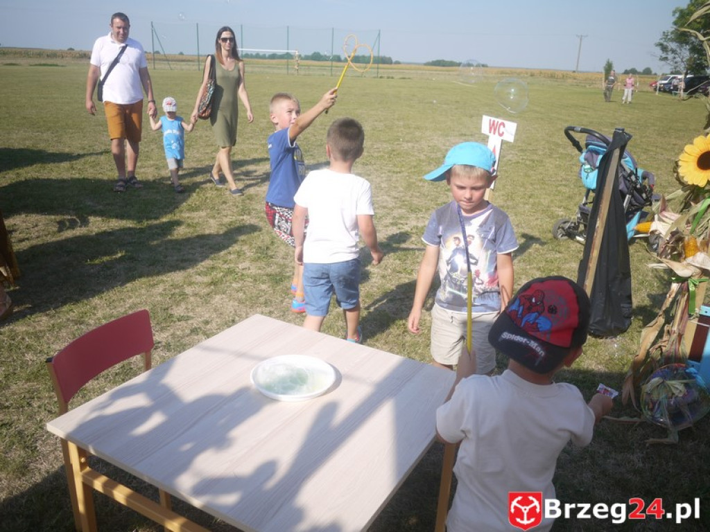 Dożynki Gminy Lubsza 2016 w Kościerzycach