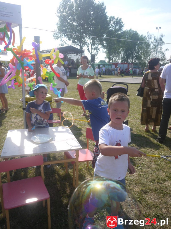 Dożynki Gminy Lubsza 2016 w Kościerzycach