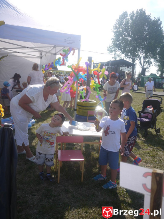 Dożynki Gminy Lubsza 2016 w Kościerzycach