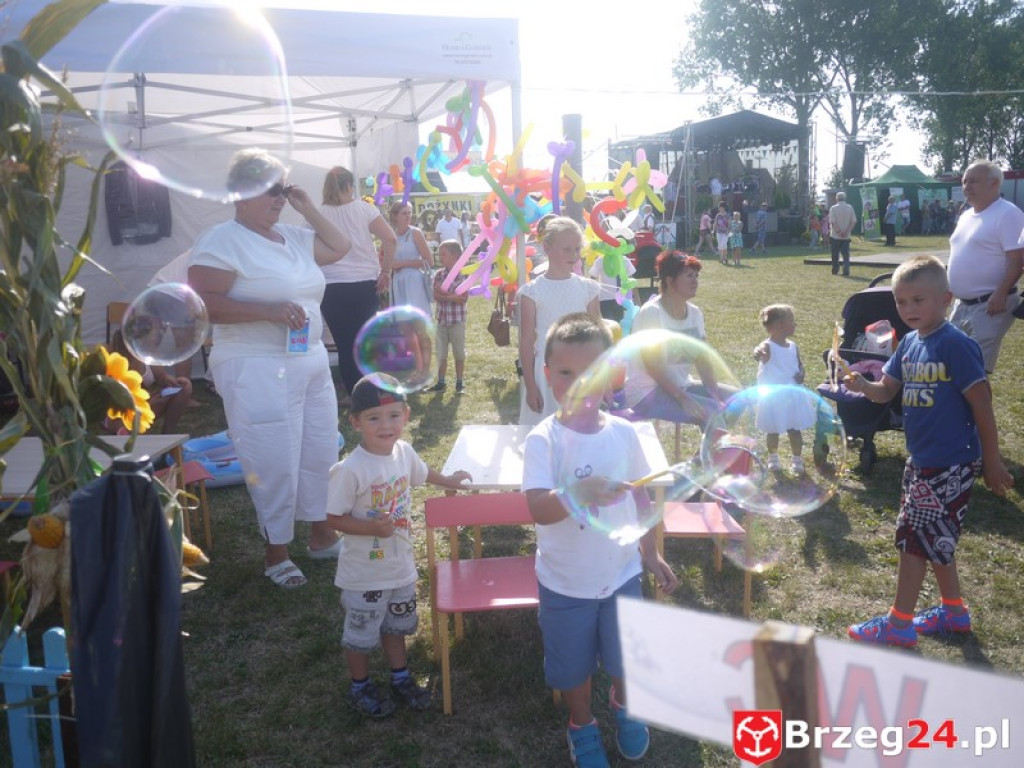 Dożynki Gminy Lubsza 2016 w Kościerzycach