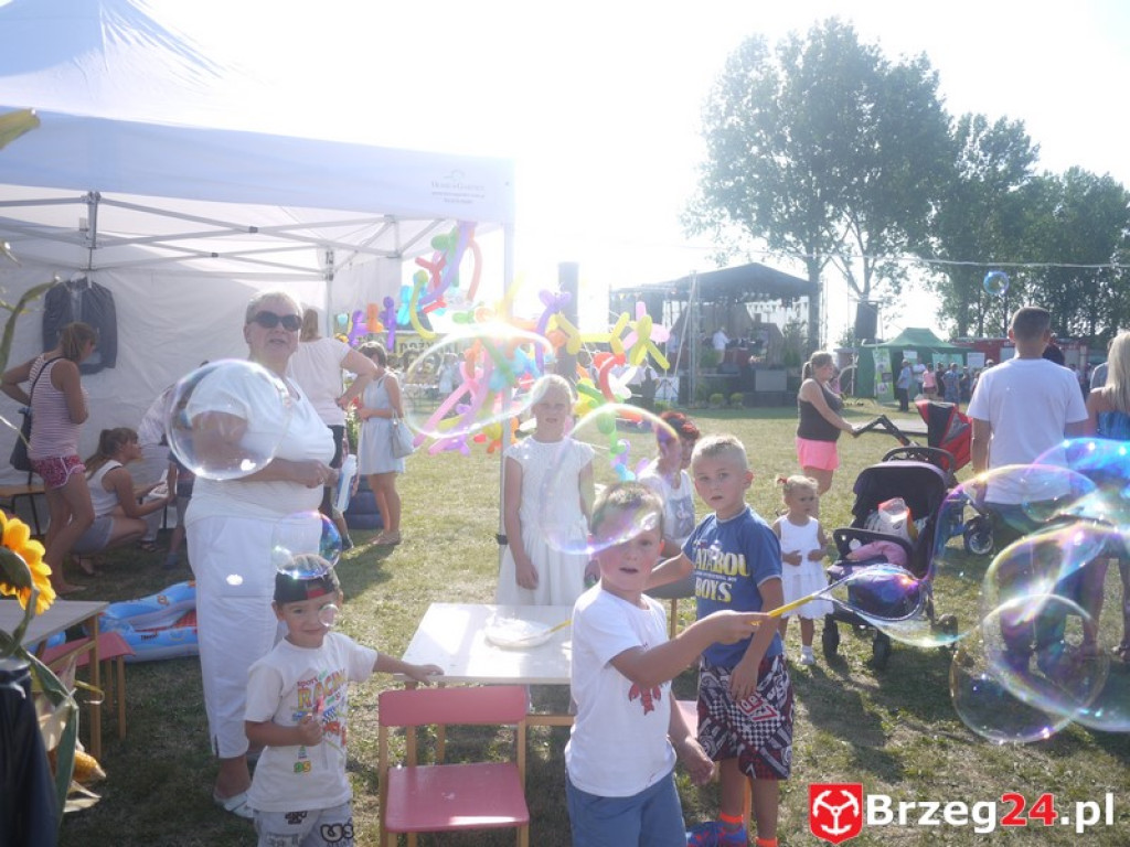 Dożynki Gminy Lubsza 2016 w Kościerzycach