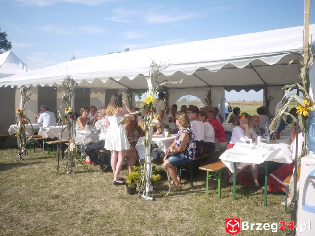 Dożynki Gminy Lubsza 2016 w Kościerzycach