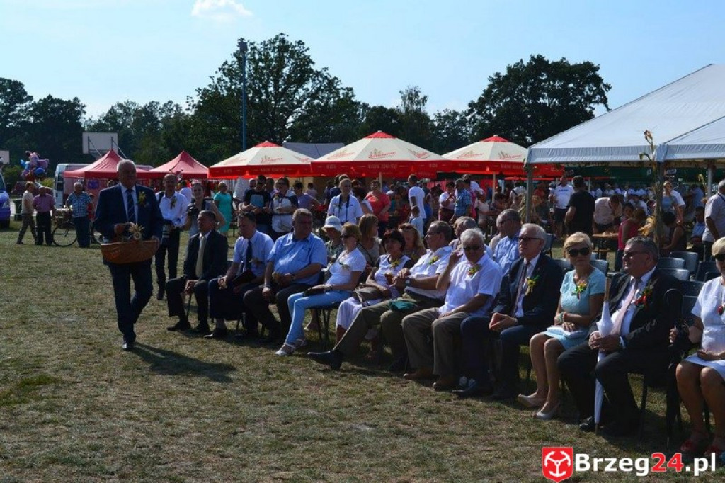 Przecza: Dożynki gminno-powiatowe 2016 (fotorelacja)