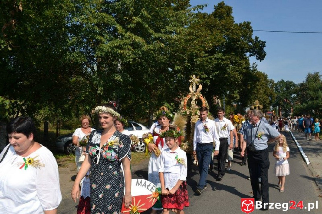 Przecza: Dożynki gminno-powiatowe 2016 (fotorelacja)