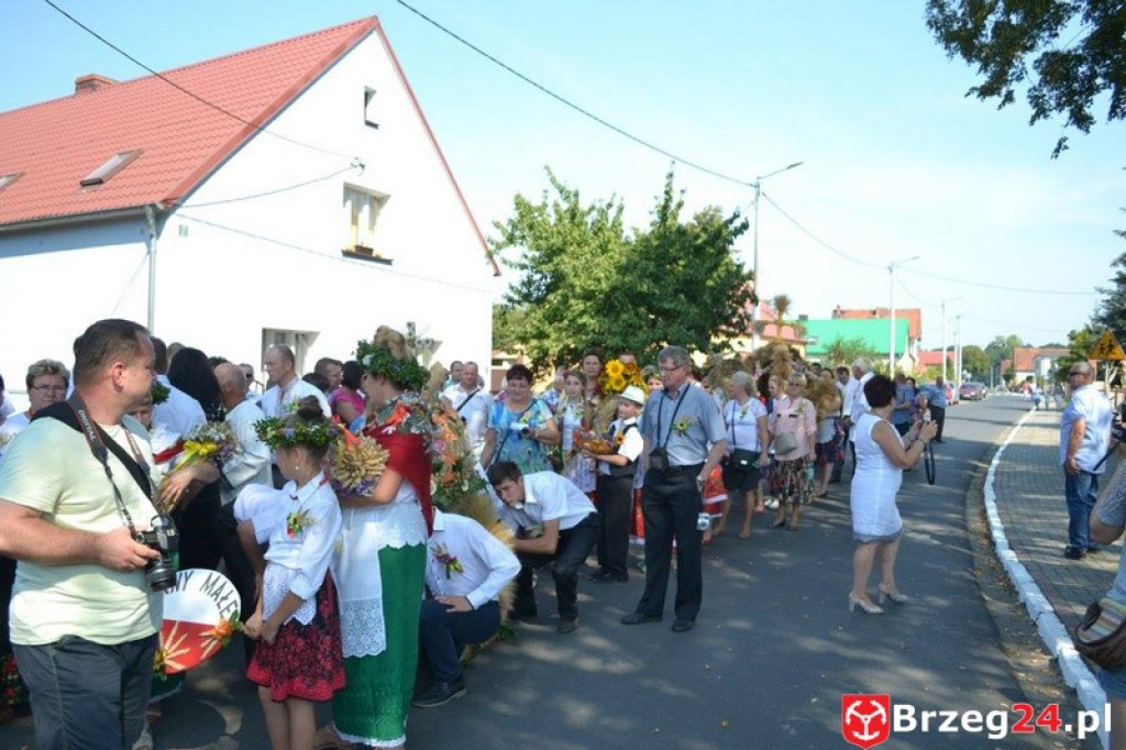 Przecza: Dożynki gminno-powiatowe 2016 (fotorelacja)