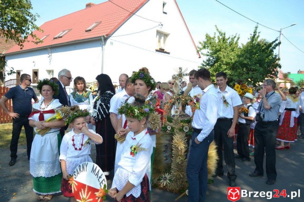 Przecza: Dożynki gminno-powiatowe 2016 (fotorelacja)