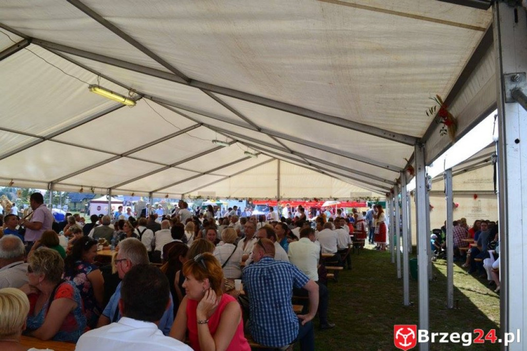 Przecza: Dożynki gminno-powiatowe 2016 (fotorelacja)