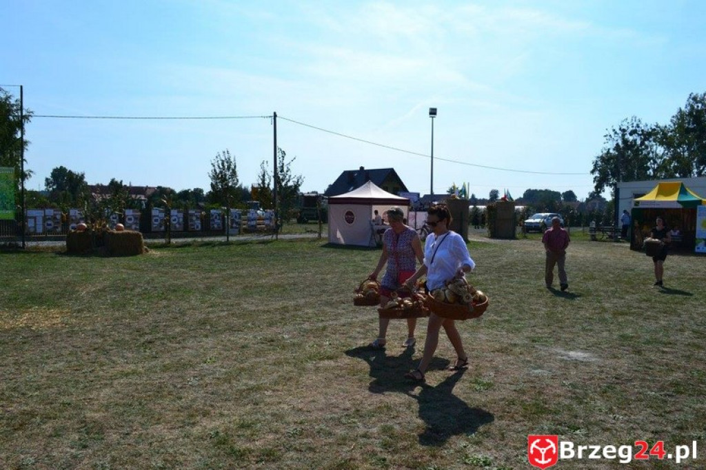 Przecza: Dożynki gminno-powiatowe 2016 (fotorelacja)