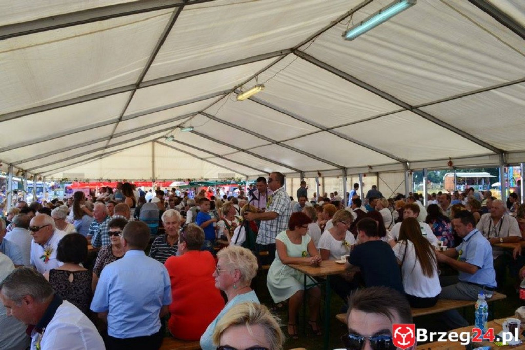 Przecza: Dożynki gminno-powiatowe 2016 (fotorelacja)
