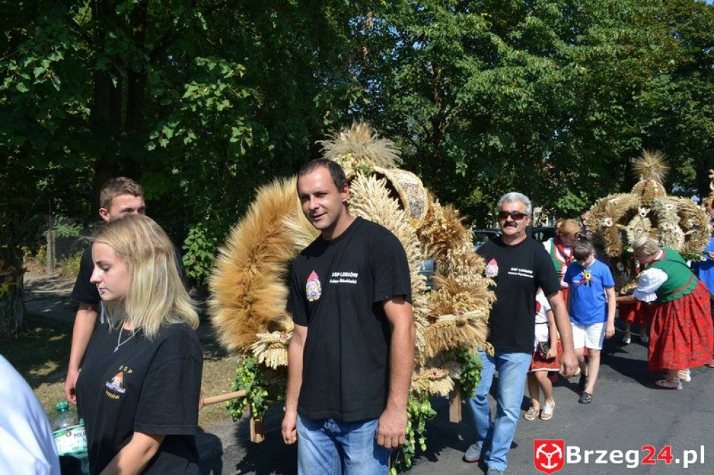 Przecza: Dożynki gminno-powiatowe 2016 (fotorelacja)