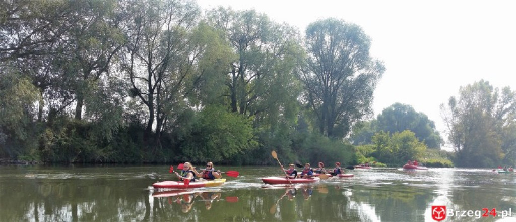 Kajakami przez Odrę