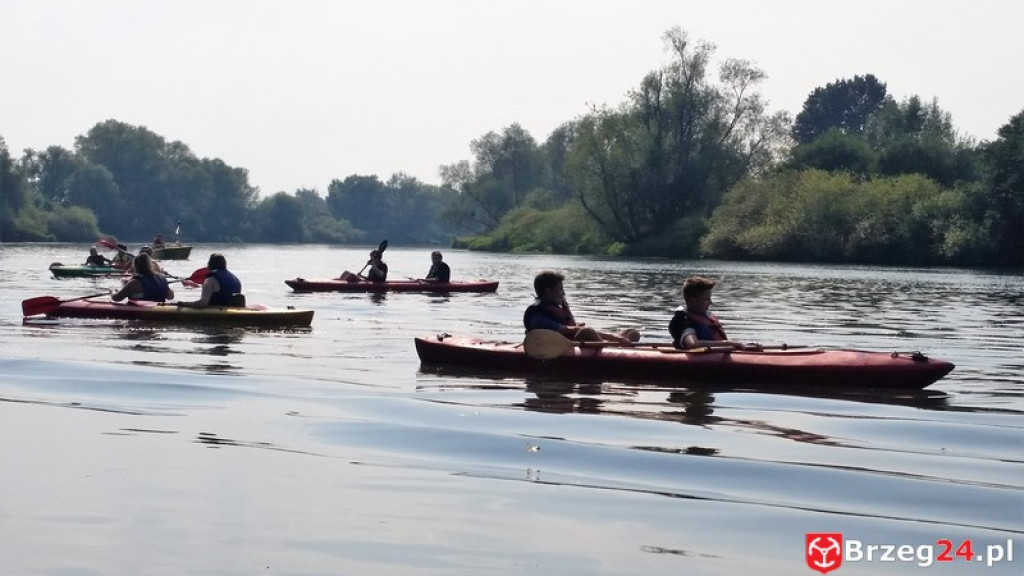 Kajakami przez Odrę