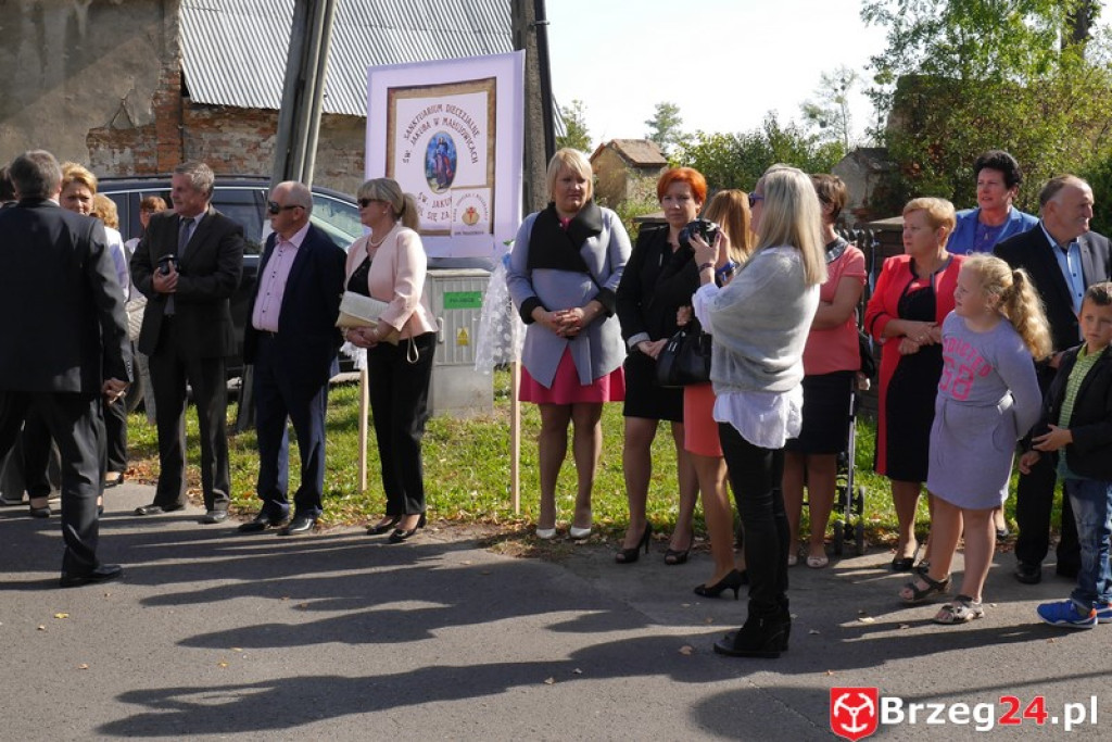 Diecezjalne Sanktuarium Św. Jakuba Apostoła w Małujowicach