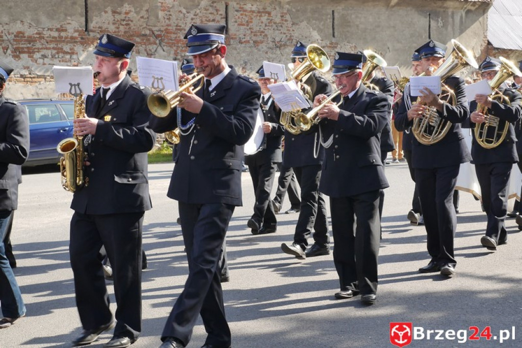 Diecezjalne Sanktuarium Św. Jakuba Apostoła w Małujowicach