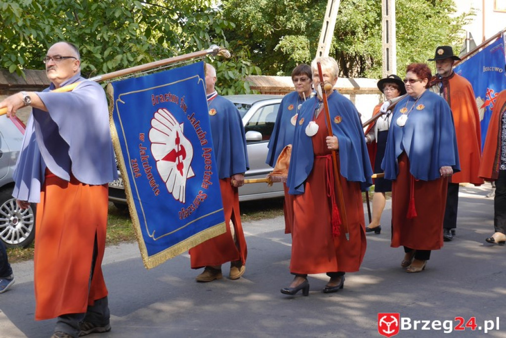 Diecezjalne Sanktuarium Św. Jakuba Apostoła w Małujowicach