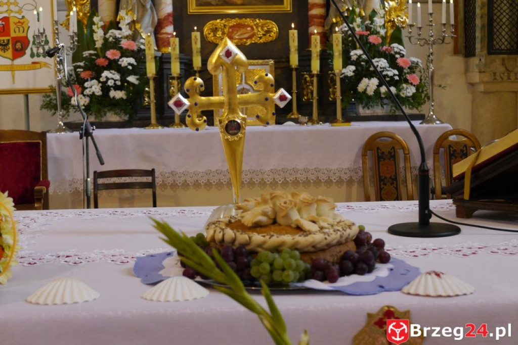 Diecezjalne Sanktuarium Św. Jakuba Apostoła w Małujowicach