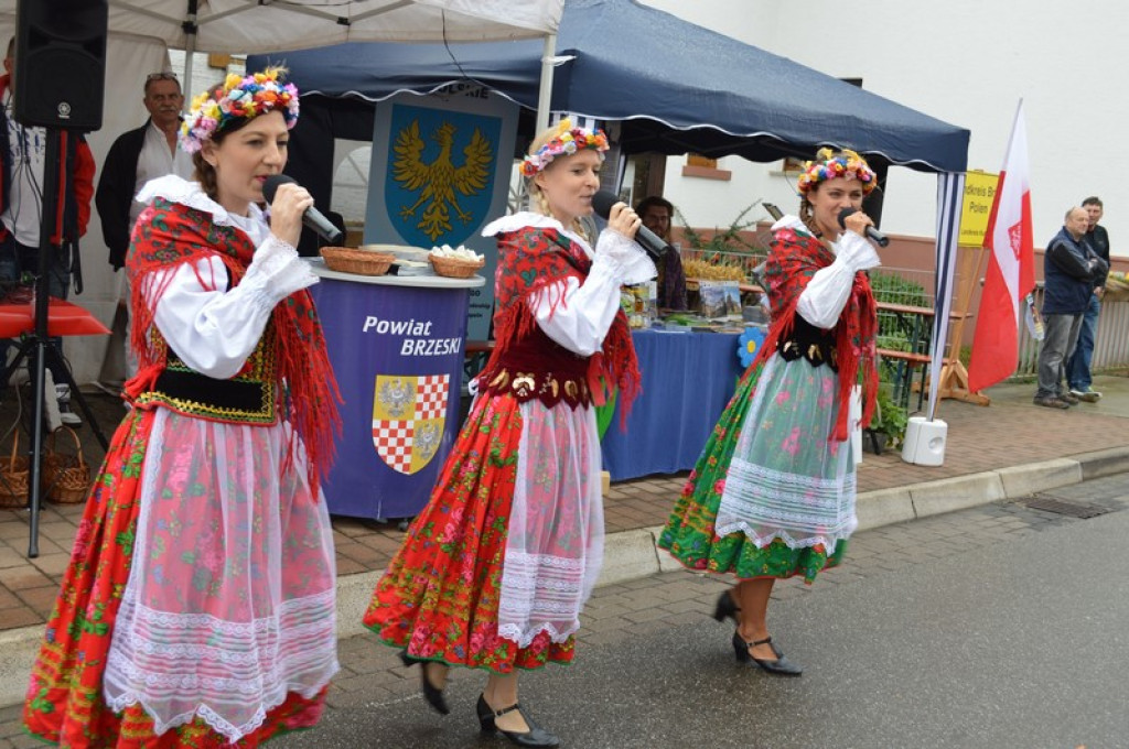 Inwencja w malowniczej Nadrenii